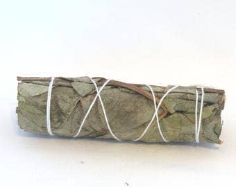 Mistiquora - Eucalyptus Smudge Stick 4" Bundle for Ceremony, Meditation