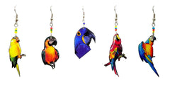 Pichincha - Acrylic Parrot Bird Animal Dangle Earrings