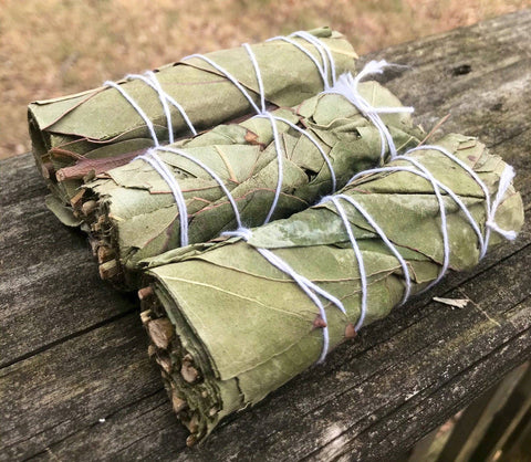 Mistiquora - Eucalyptus Smudge Stick 4" Bundle for Ceremony, Meditation