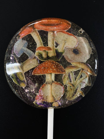 A Secret Forest - Mushroom Dream Lollipops